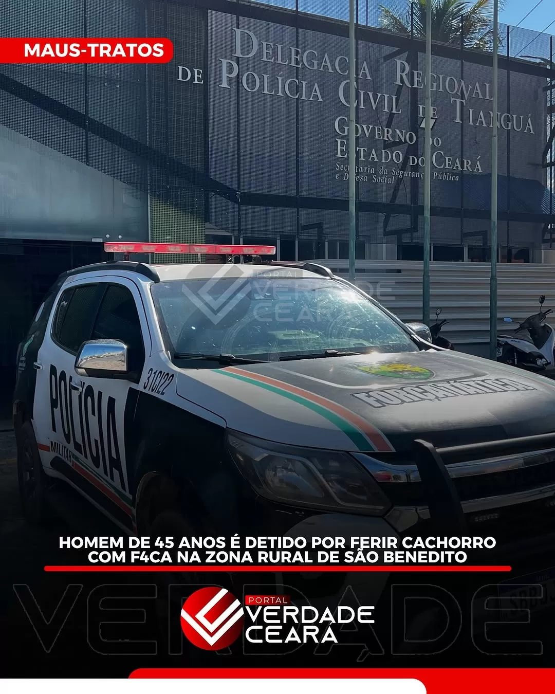 Homem é preso por esfaquear cachorro em São Benedito