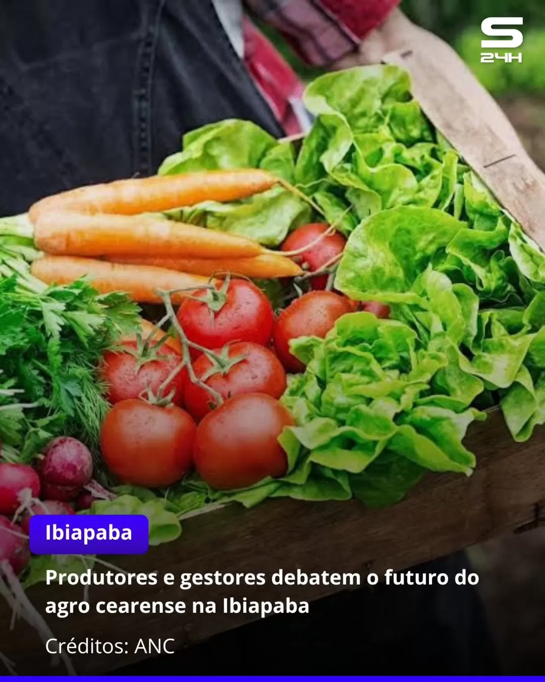 Serra da Ibiapaba sedia Coalizão Agro: Inovação e Crescimento para o Ceará