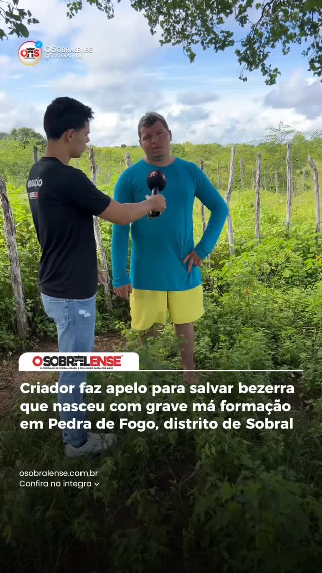 Criador faz apelo para salvar bezerra que nasceu com grave má formação em Pedra de