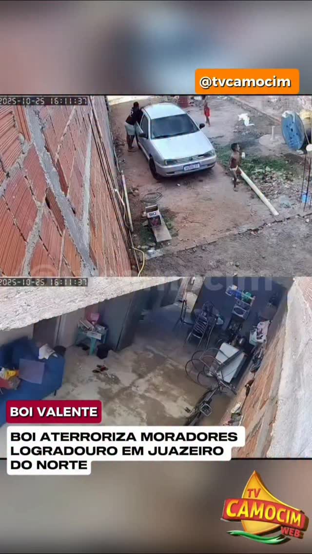 Boi Solto Invade Casa e Aterroriza Moradores em Juazeiro do Norte