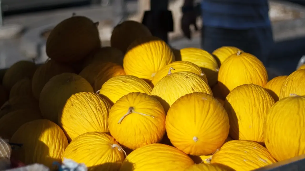 Agronegócio cearense exporta US$ 151,31 milhões em 2026