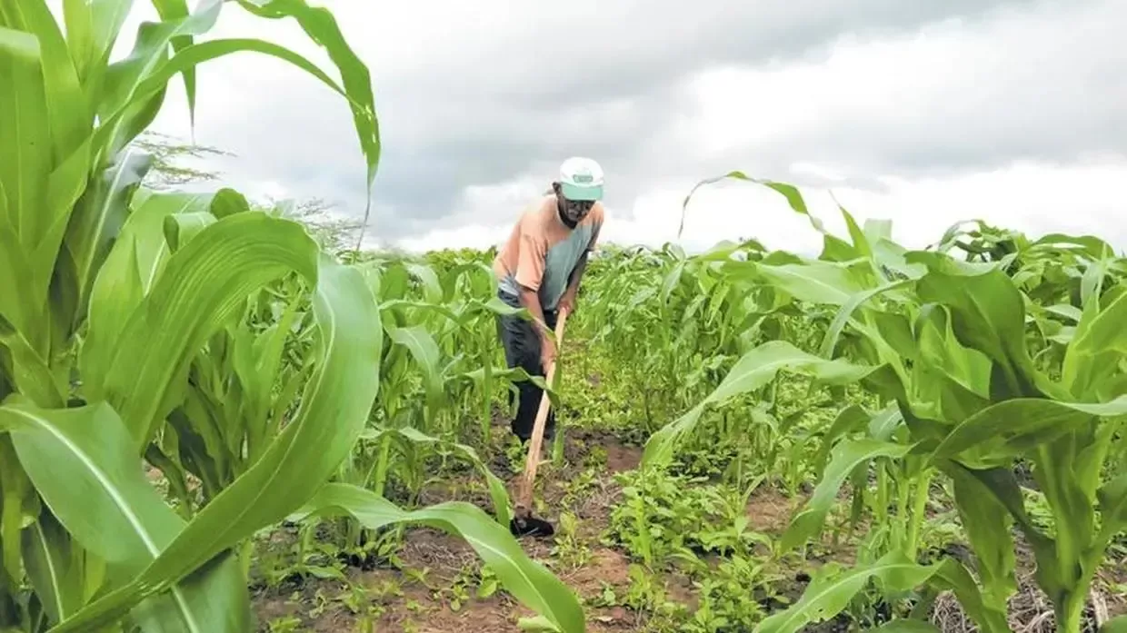 Alerta Urgente: Relatório Global Revela o Futuro Drástico do Emprego