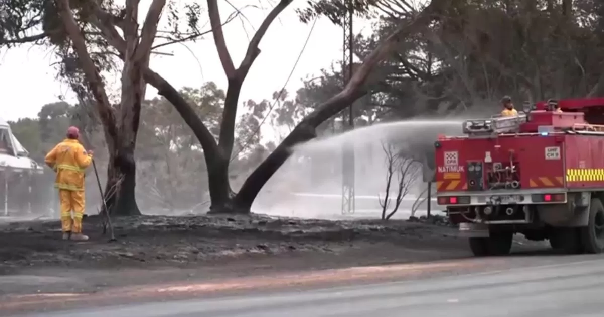 Austrália em Alerta: Onda de Calor Recorde Alimenta Incêndios Florestais