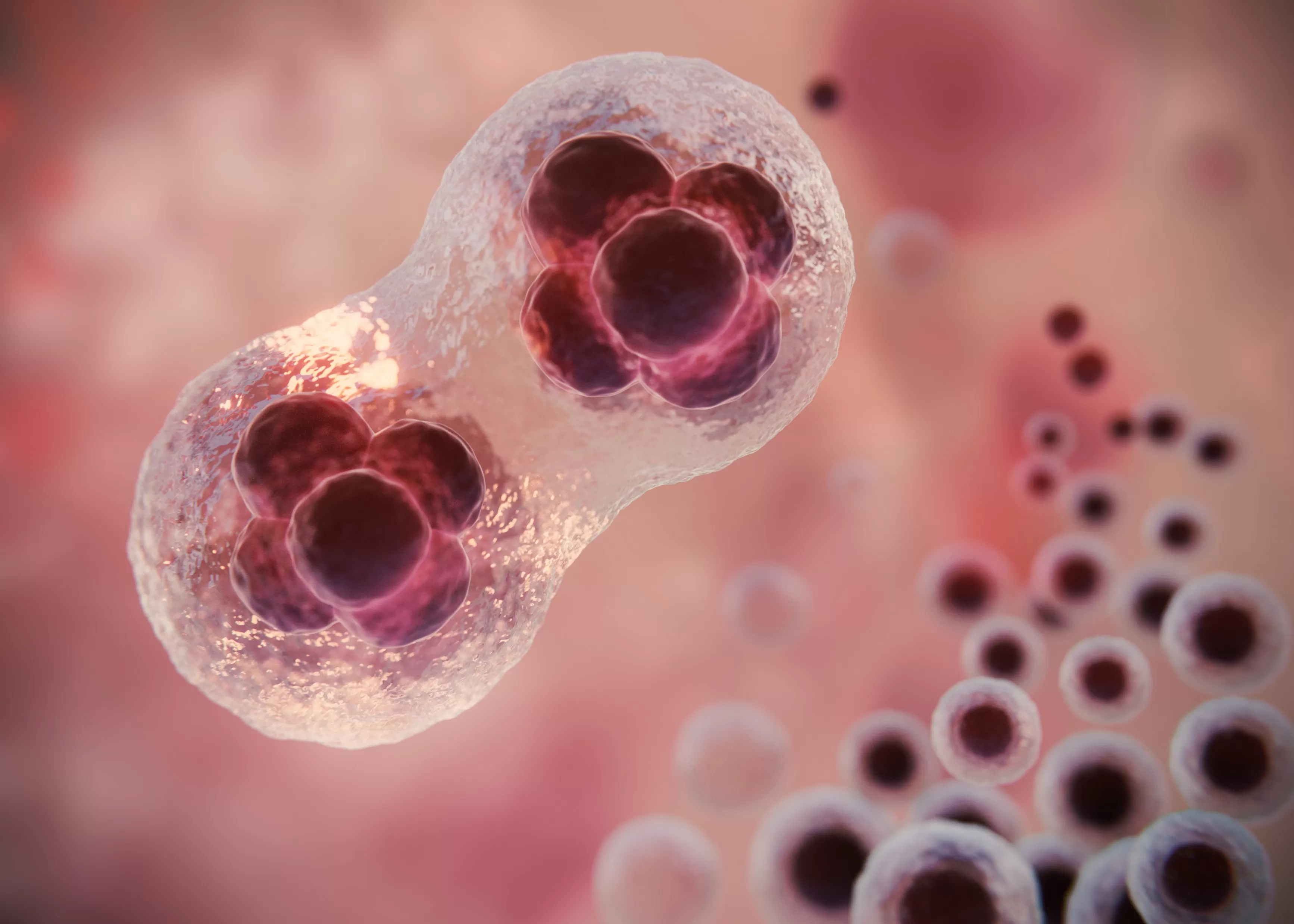 Avanço Histórico: Sobrevida ao Câncer Chega a 70% nos EUA, Desafios Globais Persistem