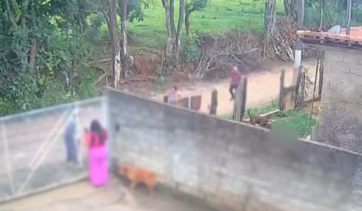 Bebê morre em ataque de pitbull; pais sob investigação por maus-tratos e negligência em SP