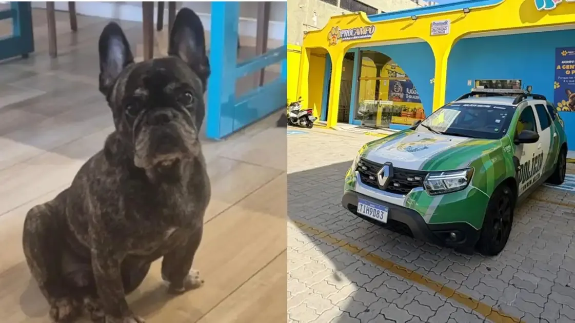 Buldogue Francês Morre em Pet Shop; Tutor Aciona Polícia