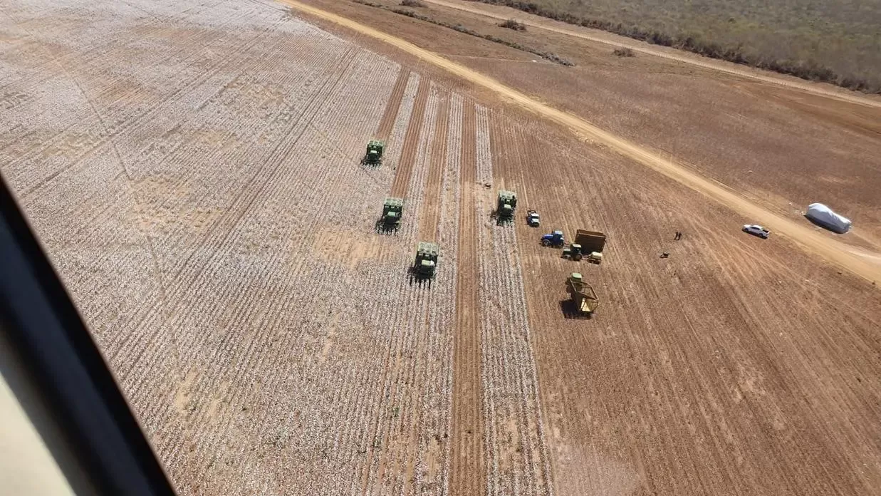 Ceará em Alerta: Cogerh Corta Vazão do Castanhão, Ameaçando Produção Agrícola