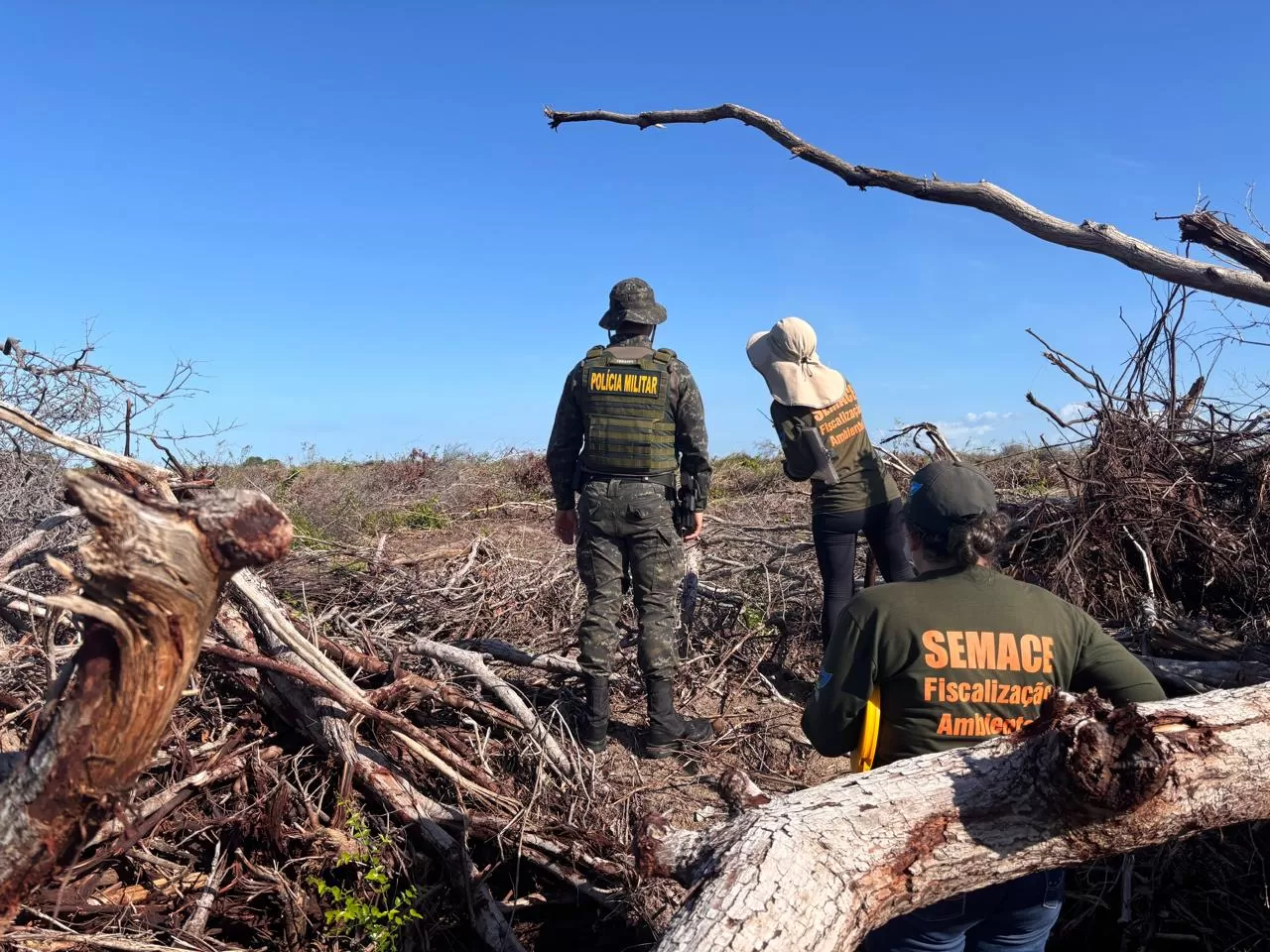 Ceará em Alerta: Segundo Estado com Maior Área Desmatada na Operação Caatinga Resiste