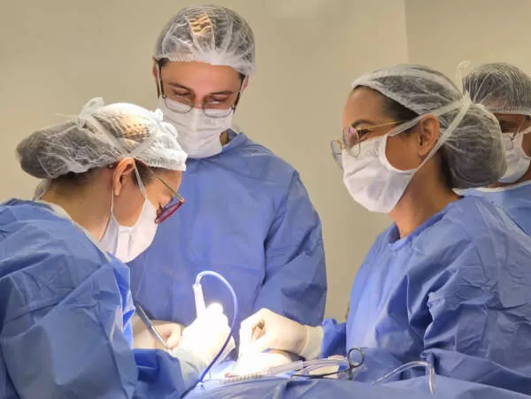 Ceará supera marca de 500 mil cirurgias eletivas no SUS