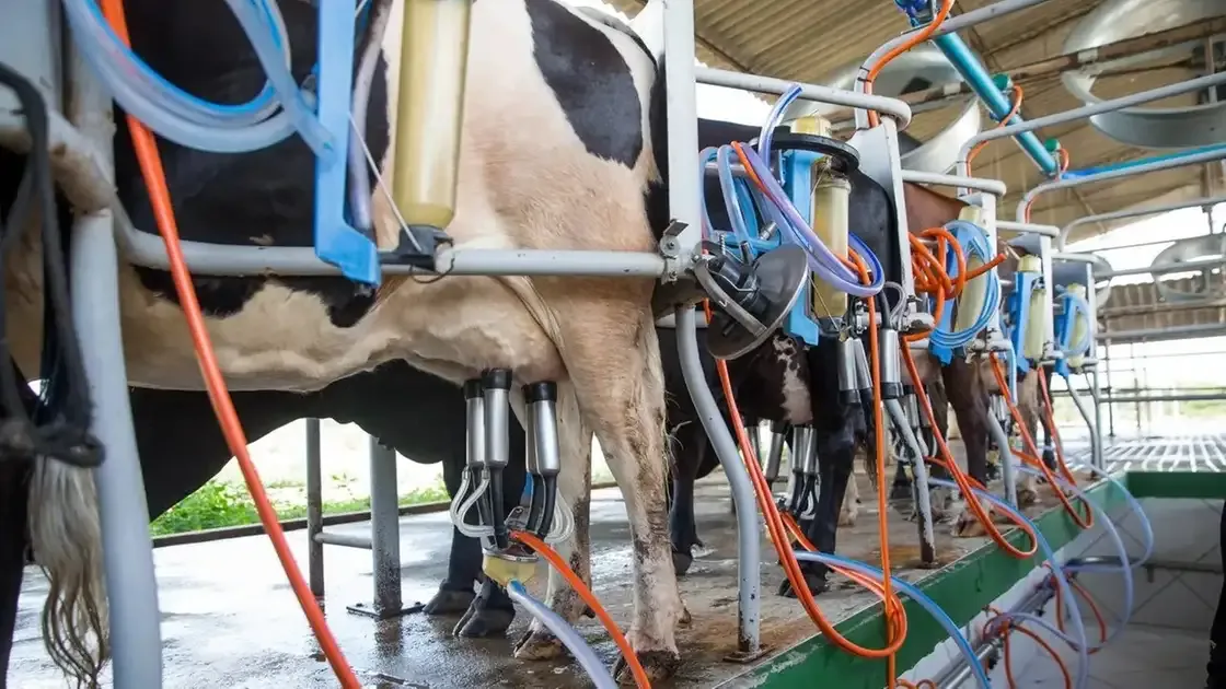 Coalizão Agro debate inovação no campo em Limoeiro do Norte