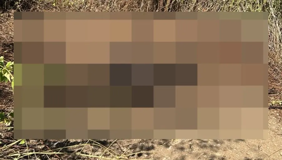 Corpo carbonizado encontrado em área rural de Caridade