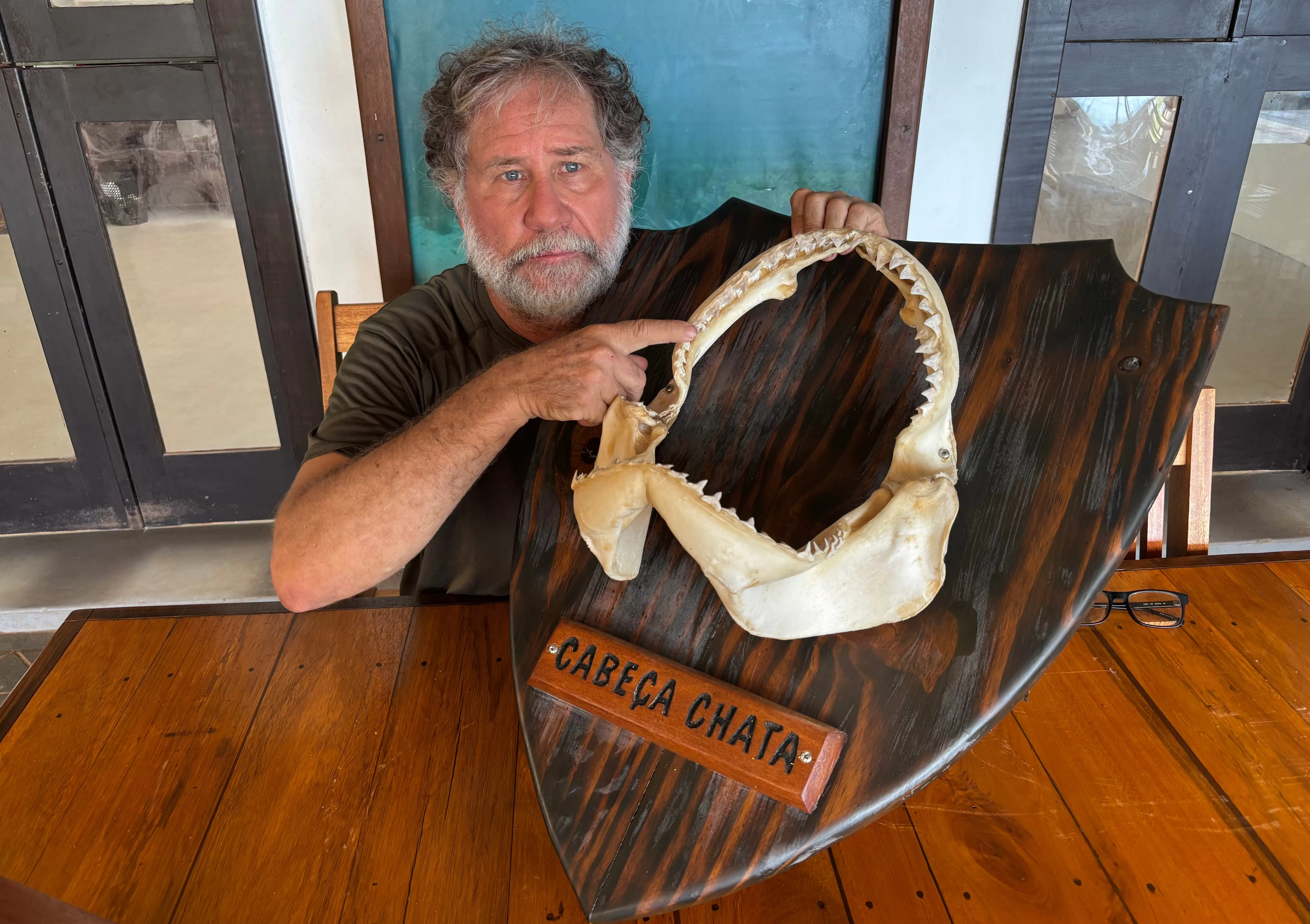 Especialista elucida ataques de tubarão: Diferenças cruciais entre Noronha e Olinda