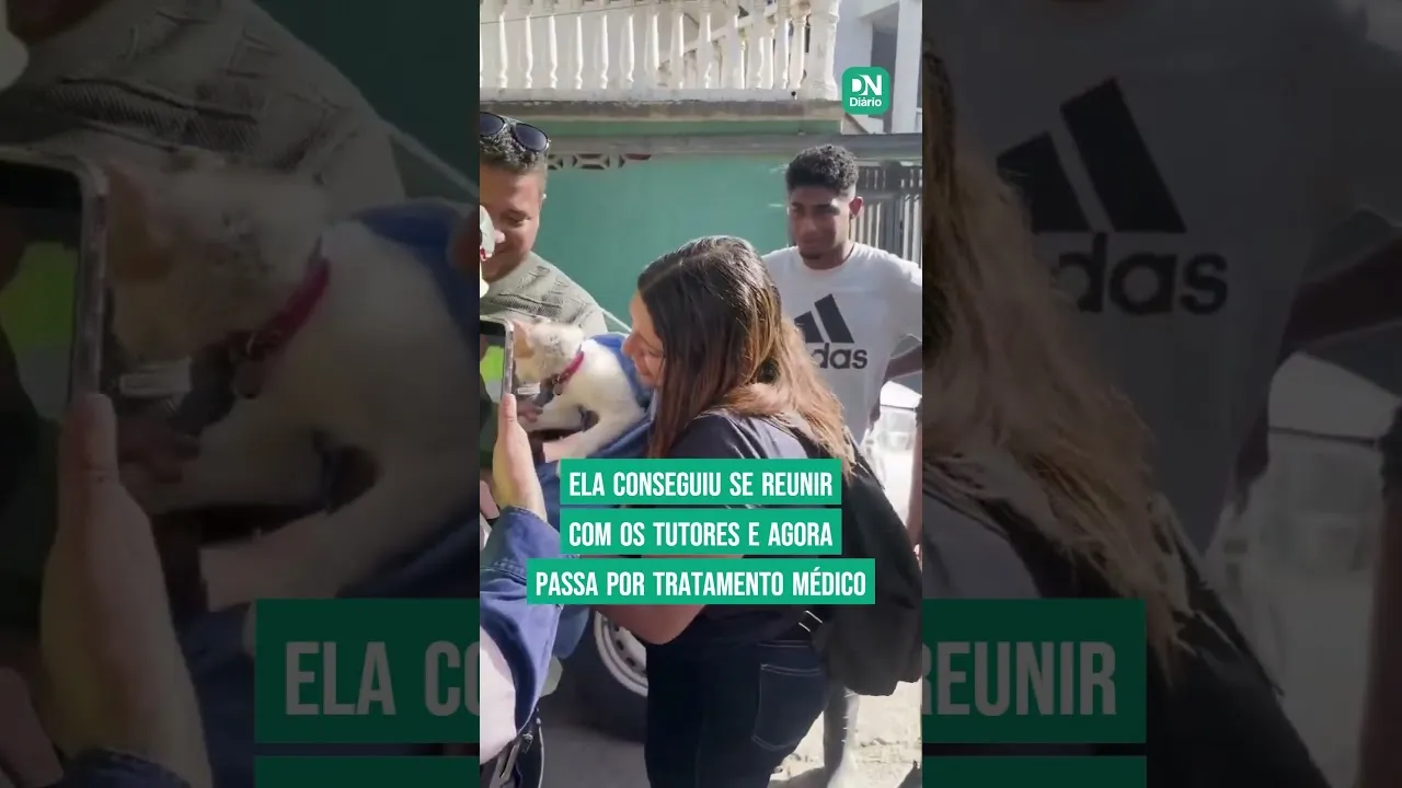 Gatinha resgatada após 23 dias soterrada na Venezuela