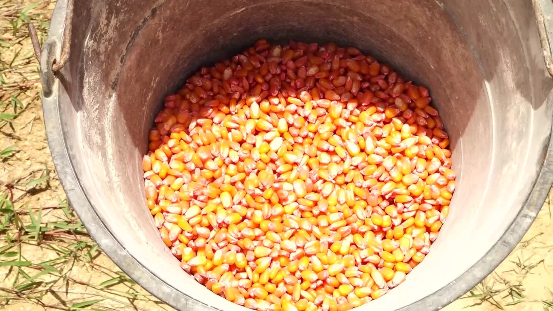 Governo do Ceará lança pacote de investimentos para agricultura familiar