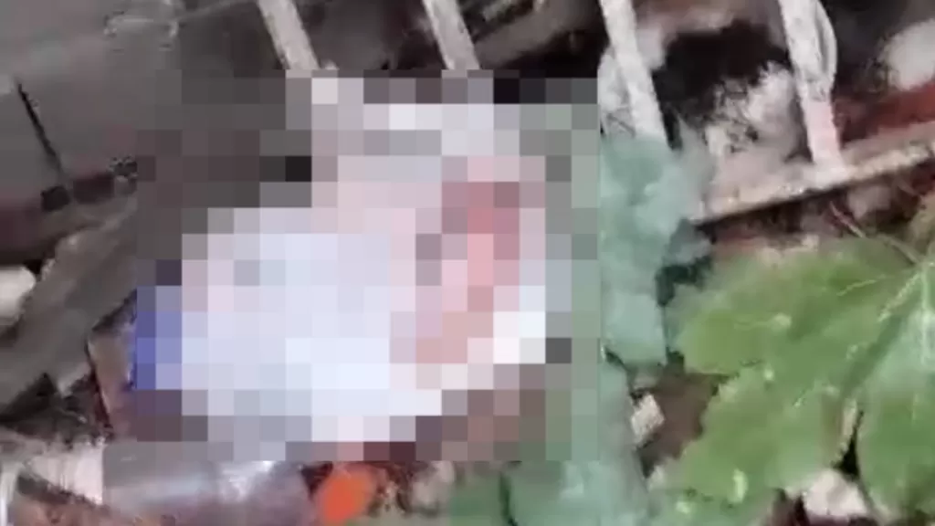 Icó Chocada: Recém-nascido encontrado no lixo! Cena que revolta e intriga a cidade.