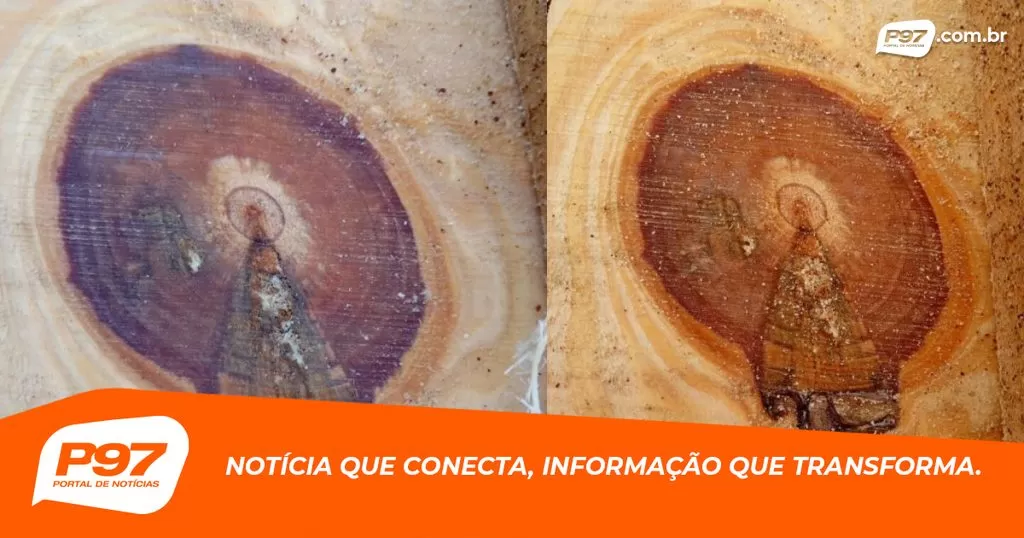 Imagem de Nossa Senhora Aparecida surpreende em tronco de árvore