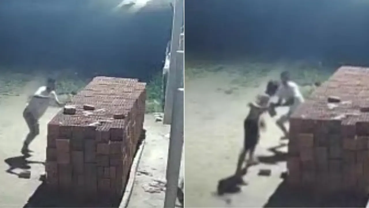 Irmão mata irmão em briga com tijoladas no Interior do Ceará