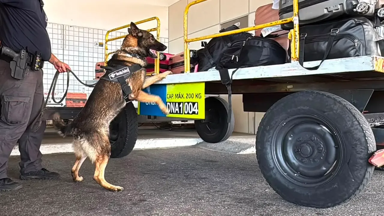 Policial