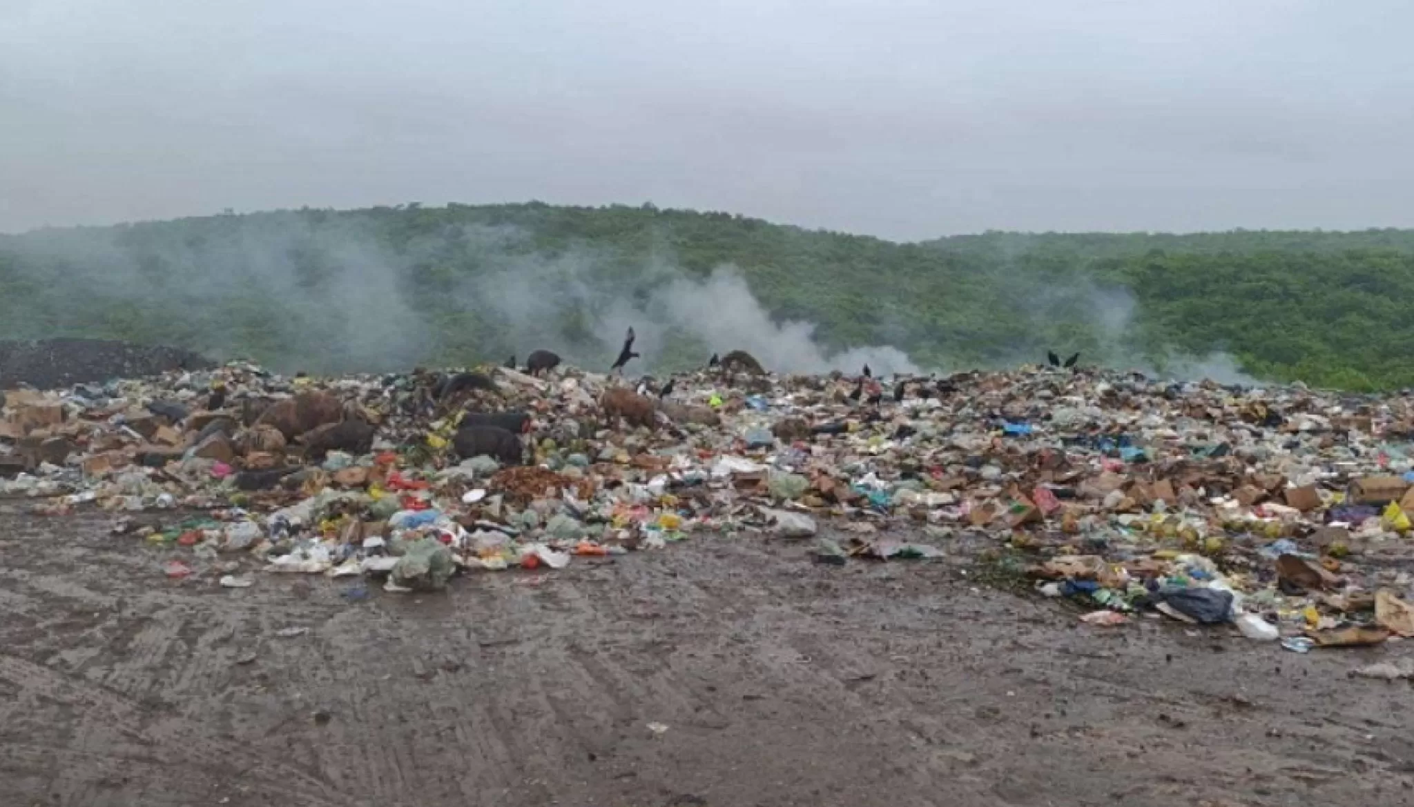 MP aciona Prefeitura de Marco por graves danos ambientais causados por lixões irregulares, incluindo o de Mocambo