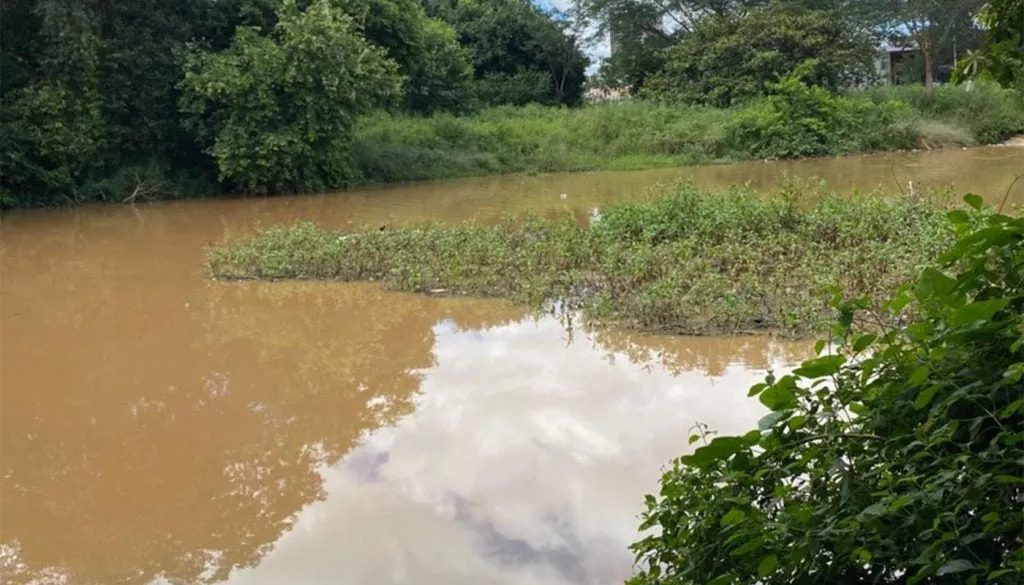 MP Ceará investiga mortandade de peixes e contaminação em lagoas no Parque das Timbaúbas