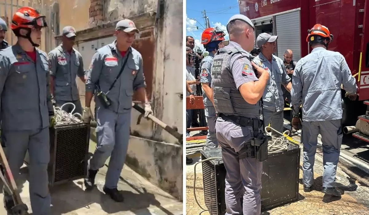 Mulher é atacada pelo próprio pitbull no quintal de casa e não resiste.