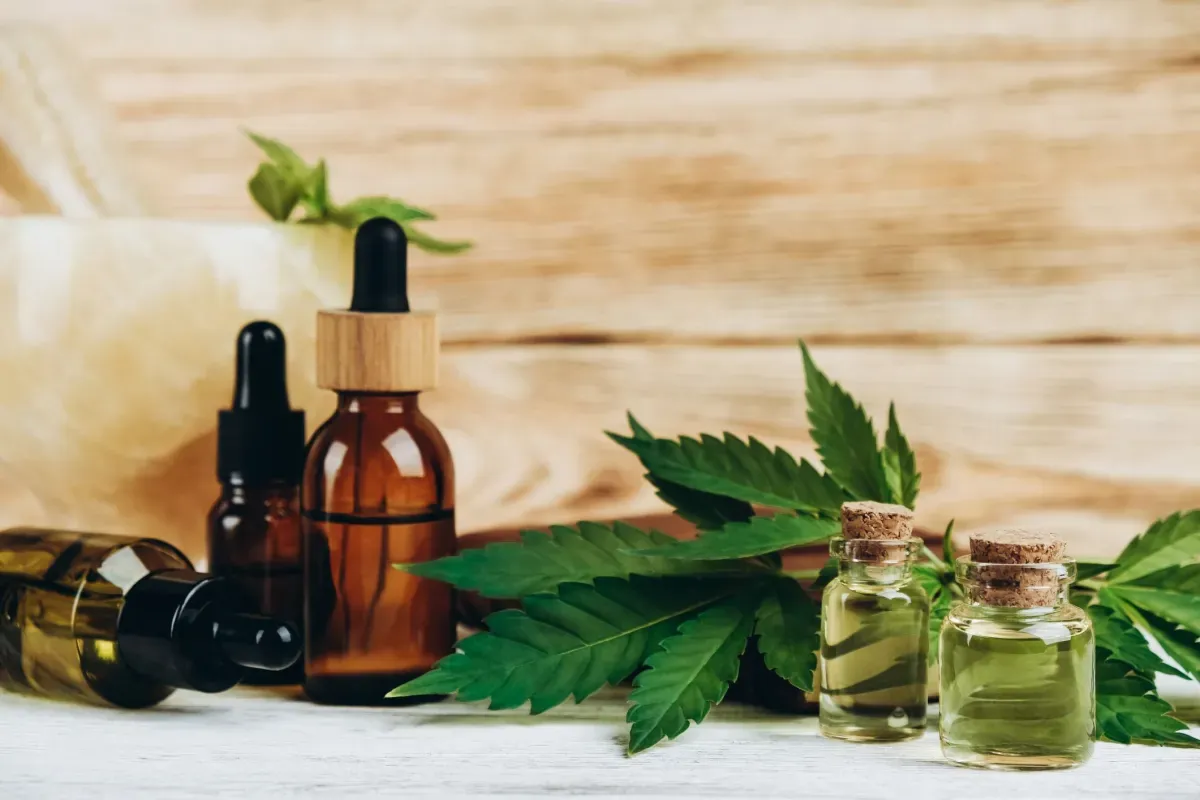 Nova regra da Anvisa pode reduzir custos de cannabis medicinal