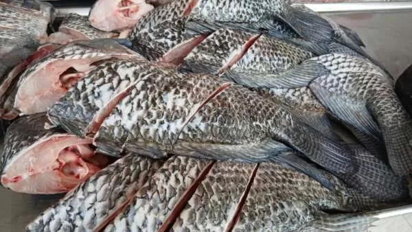Páscoa mais barata no geral, mas chocolates e bacalhau pesam no bolso!