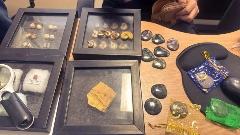 PF apreende 56 fósseis e pedras raras em operação contra contrabando no Cariri cearense