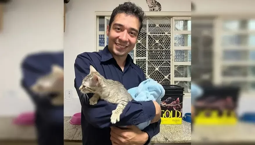 Psicólogo Condenado: Nove Anos de Prisão por Maus-Tratos a Gatos