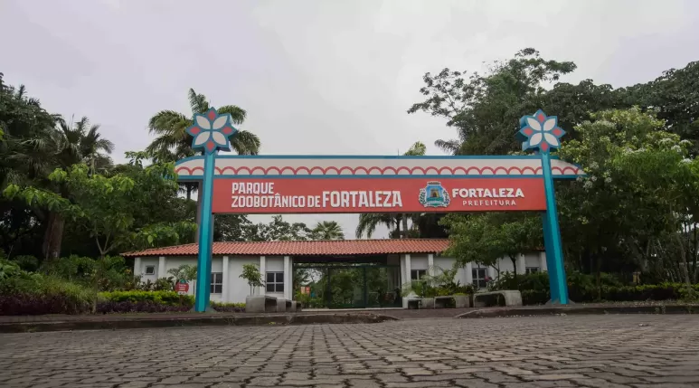 Reabertura do Zoológico Municipal de Fortaleza marca retorno com novidades e 300 animais.