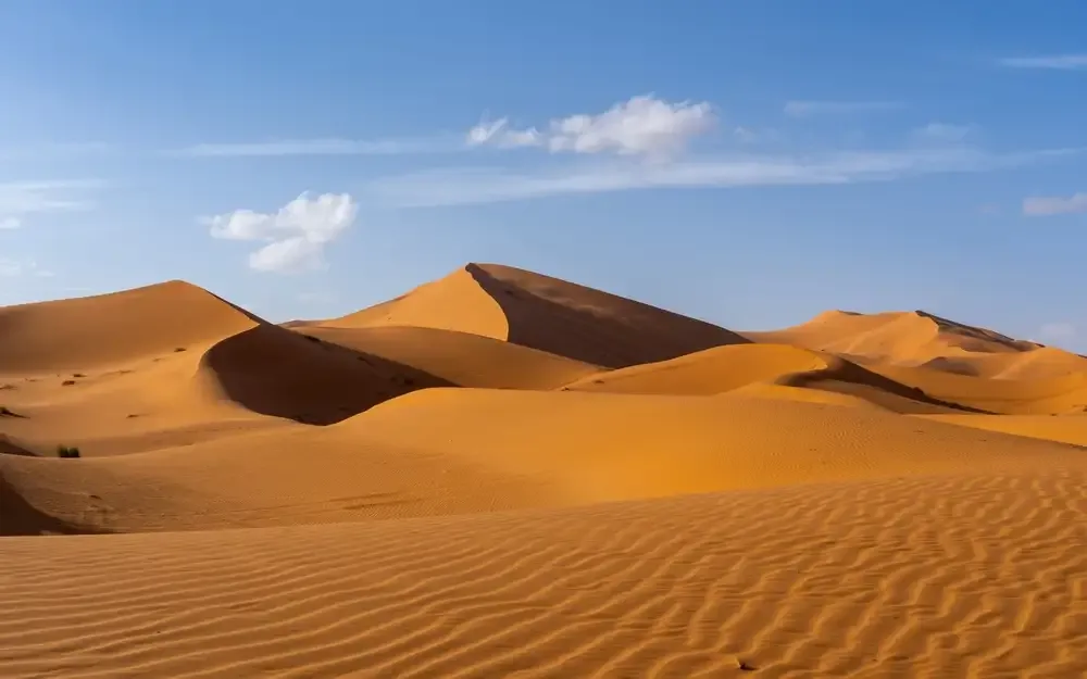 Sahara: Tragédia com quase 50 mortos por sede após falha em caminhão