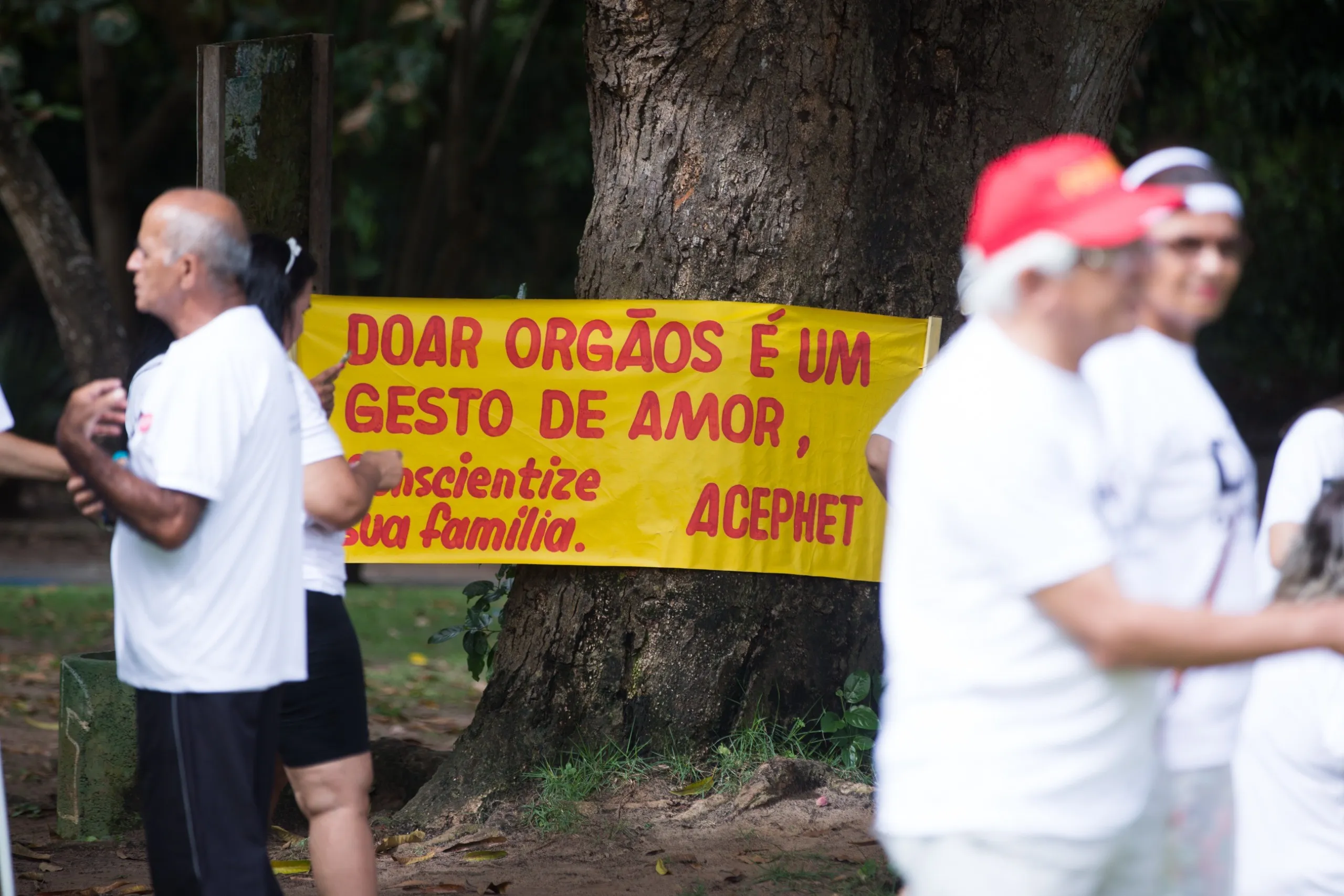 Saiba como formalizar o interesse em ser doador de órgãos