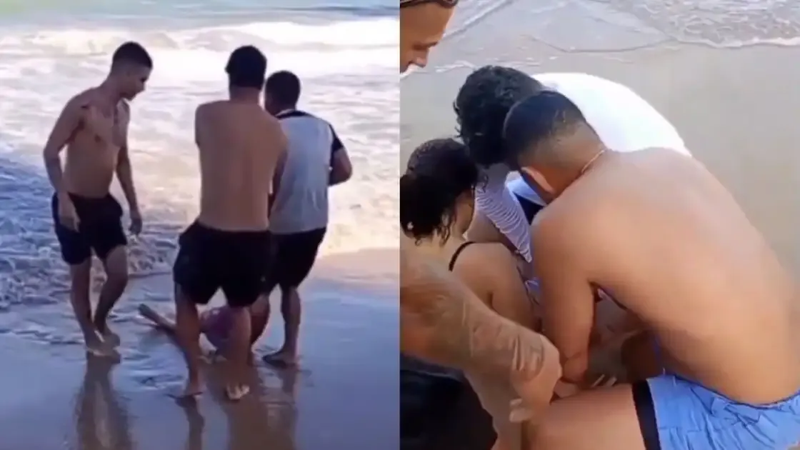 Tubarão ataca jovem e arranca perna em praia do Recife