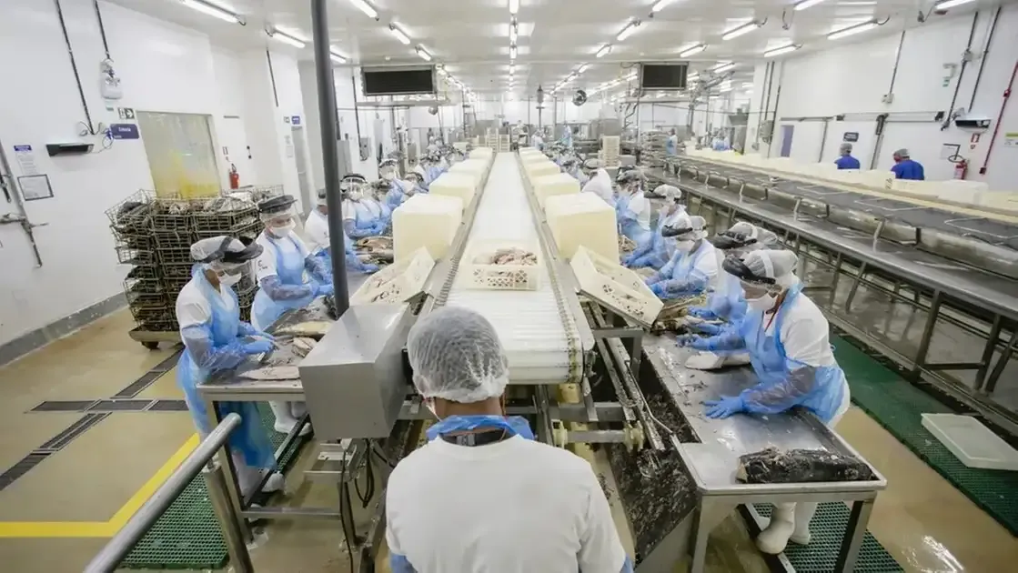 União Europeia fiscalizará pescado brasileiro, inclusive do Ceará