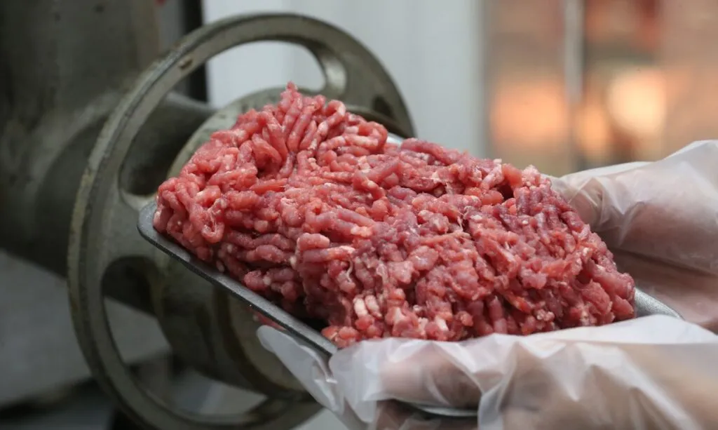 União Europeia Proíbe Carne Bovina Brasileira por Exigências Sanitárias