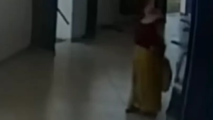 Vandalismo no Crato: Turista argentina detida após destruir estátua de Padre Cícero