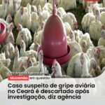 Carreta tomba na BR-116 e carga de café é saqueada…