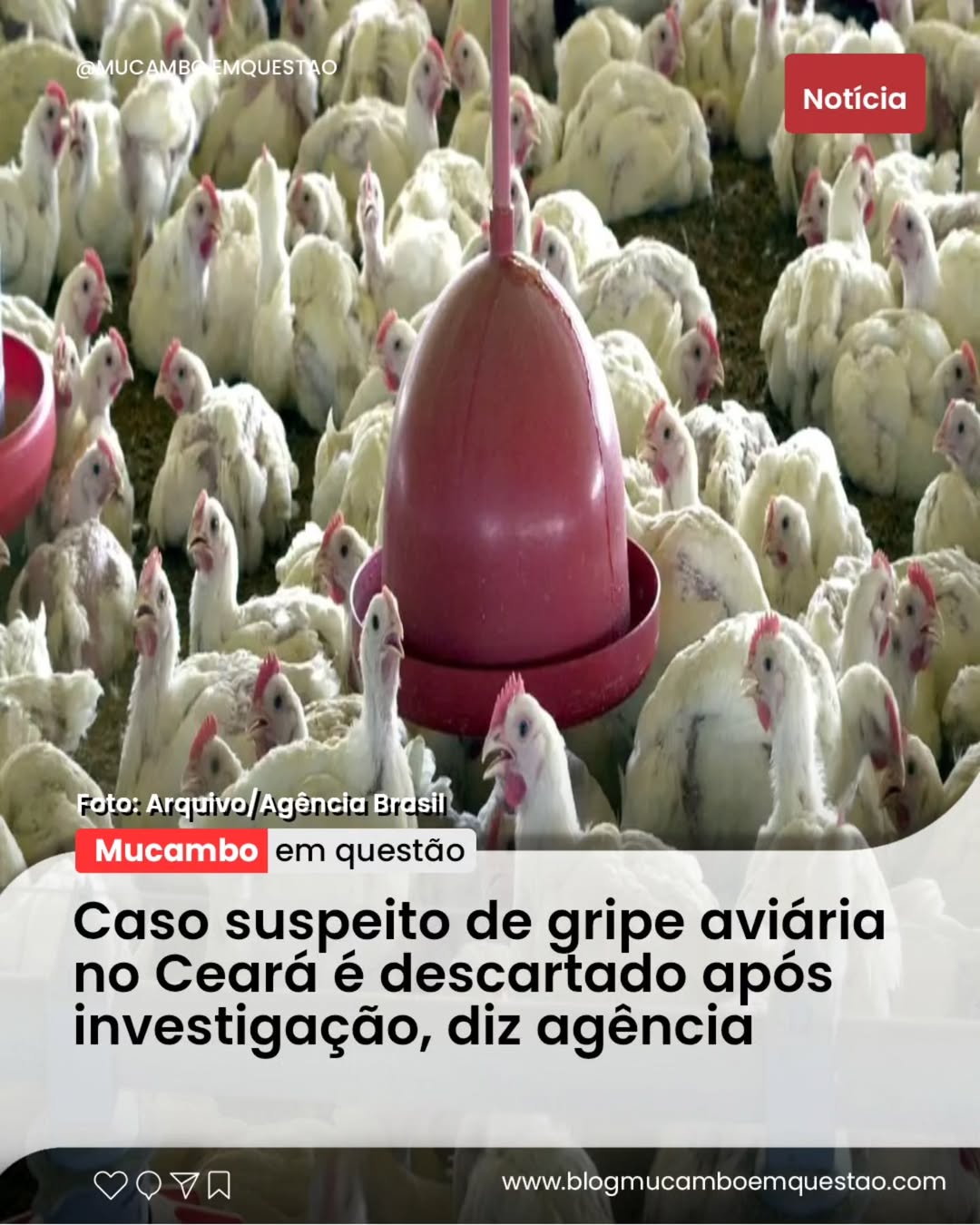 Imagem do post