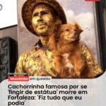 Mãe se desespera com prisão do filho por assalto no…