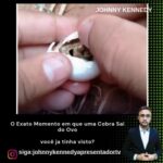Lula garante que aposentados não serão lesados por descontos indevidos…