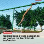 Orós Sangra e Alivia Sertão Cearense Após Longa Seca Açude…