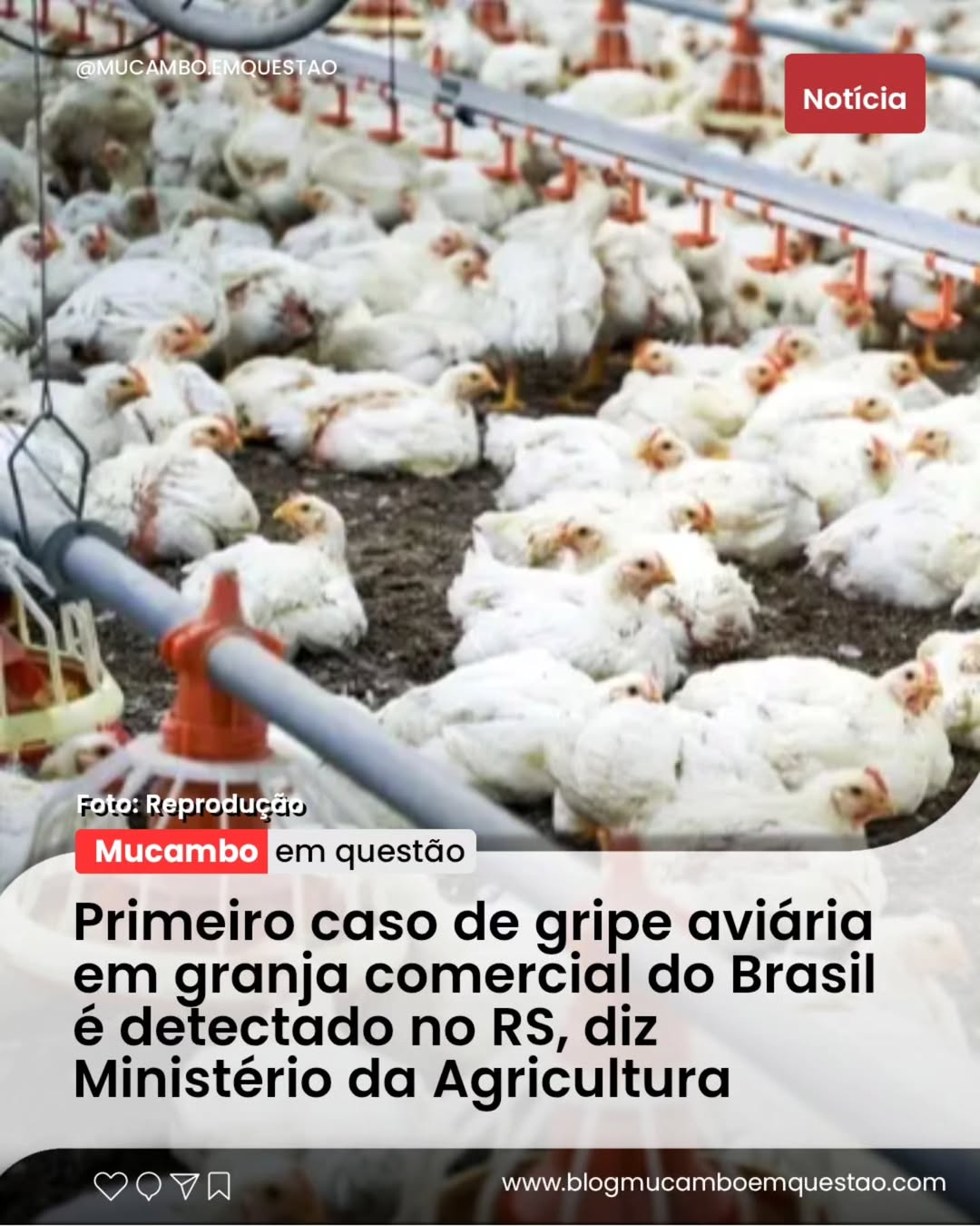 Imagem do post
