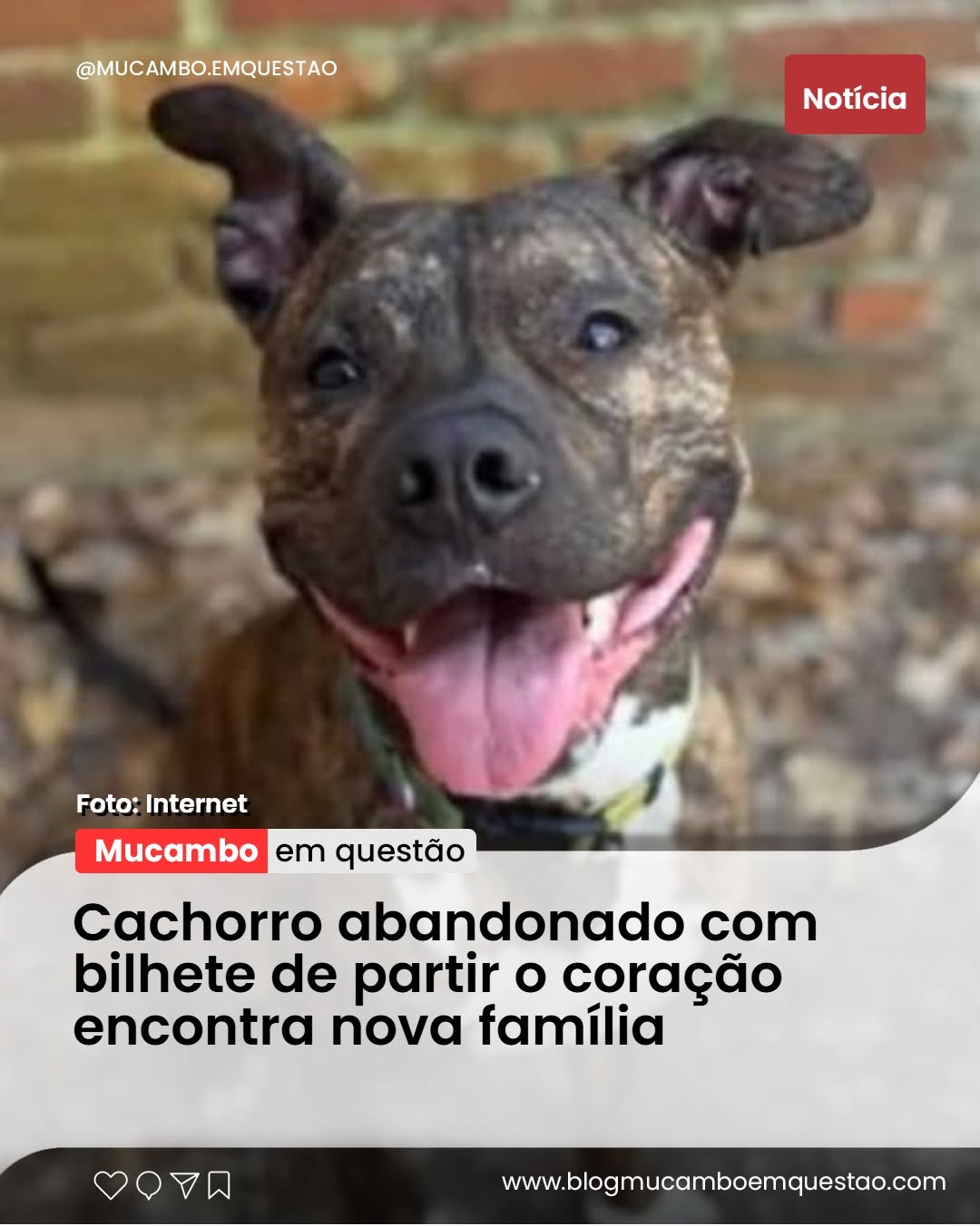 Imagem do post
