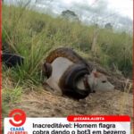 Vira-lata abandonado em parque de Atlanta encontra lar temporário. Cachorro…