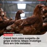 Lula oficializa novas regras para educação a distância no país….