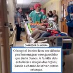 Vídeo mostra detalhes da vida em comunidade do Mucambo Imagens…