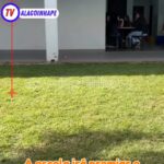 Superlotação e Invasão Marcam o São João de Natal Público…