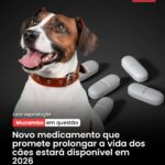Justiça eleva restrição de idade do Instagram no Brasil. Ministério…