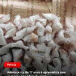 Na manhã de quinta-feira (12), um homem, identificado como Adailton,…