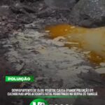 Adolescente apreendida por tráfico em Tianguá reincide no crime. Jovem…